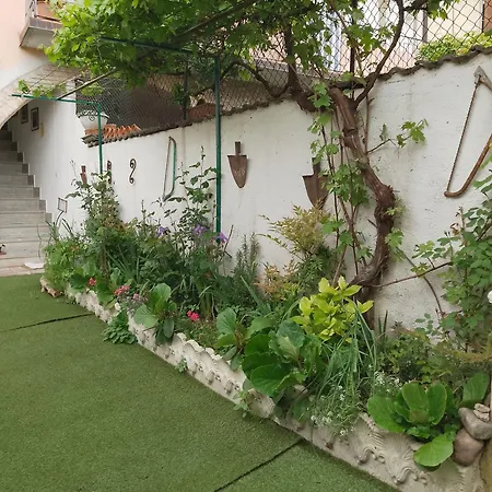 Casa Di Stella Bed & Breakfast