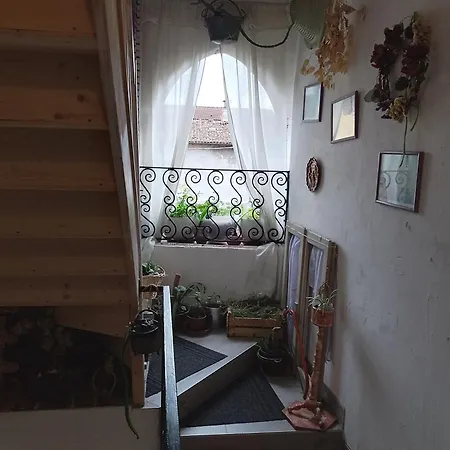 Casa Di Stella *
